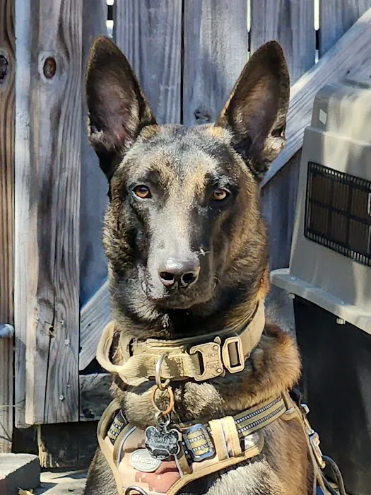 Canfel Care Animal Hospital Picture 7