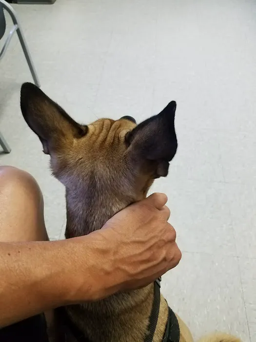 Canfel Care Animal Hospital Picture 5