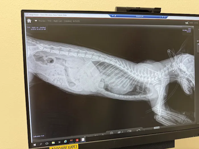 Wilcrest Animal Hospital Picture 1