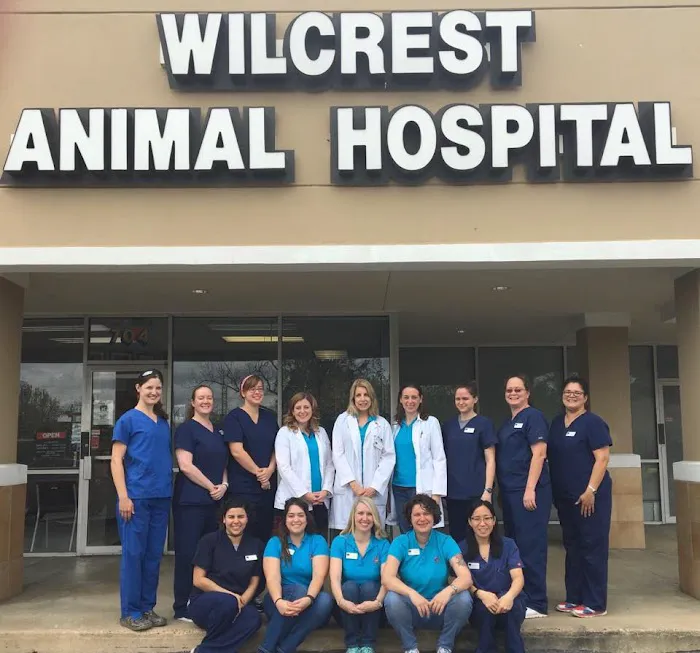 Wilcrest Animal Hospital Picture 8