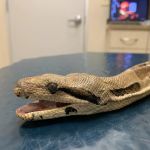 Briarcrest Veterinary Clinic