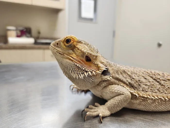 Briarcrest Veterinary Clinic Picture 2