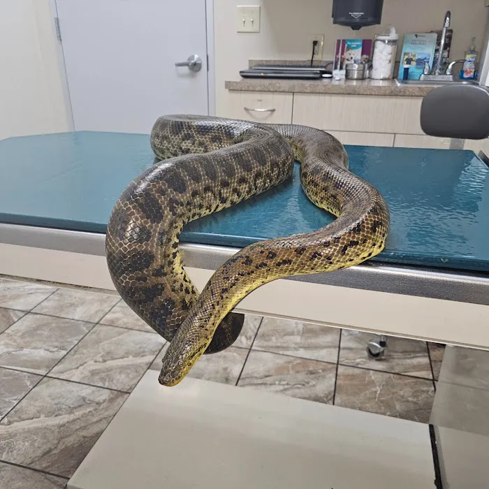 Briarcrest Veterinary Clinic Picture 9
