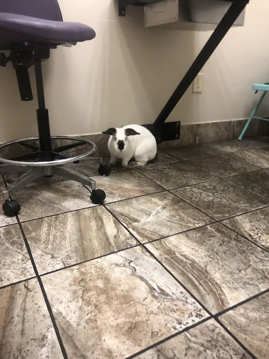 Briarcrest Veterinary Clinic Picture 7