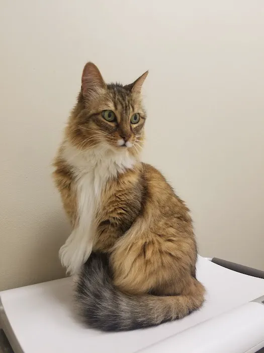Briarcrest Veterinary Clinic Picture 8