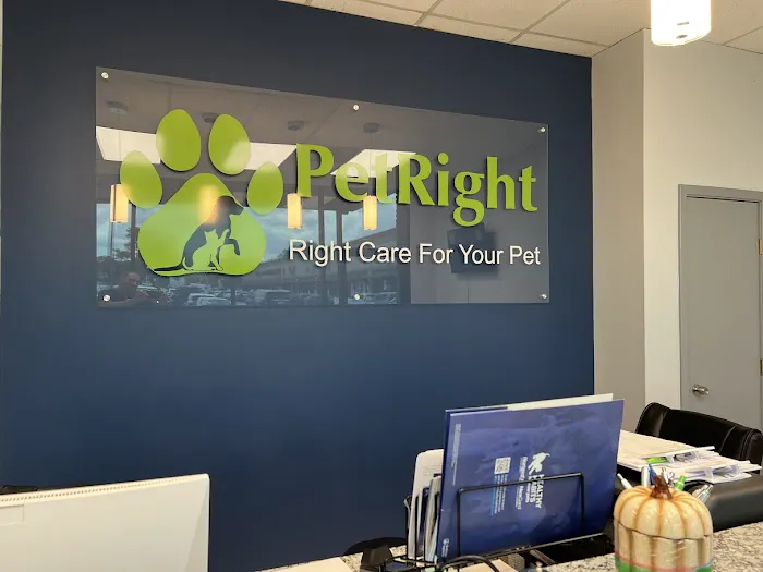 PetRight Animal Clinic Picture 10