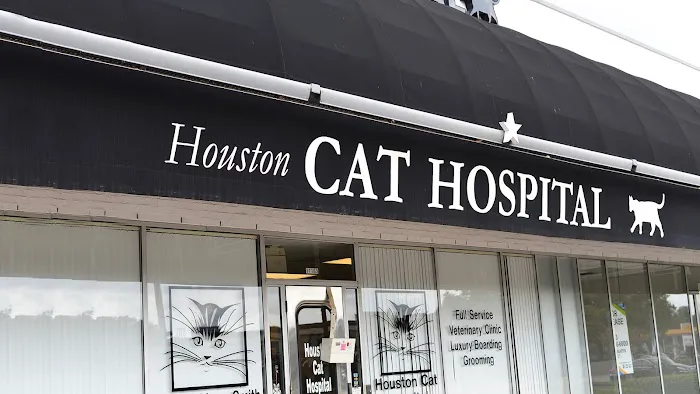 Houston Cat Hospital Picture 1