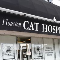 Houston Cat Hospital ico
