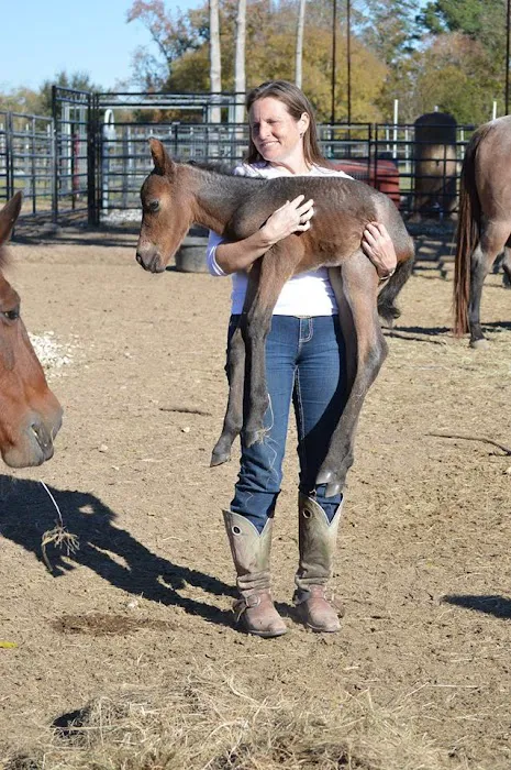 V.E.T.S. Livestock Management Services Organization, Inc, Picture 8