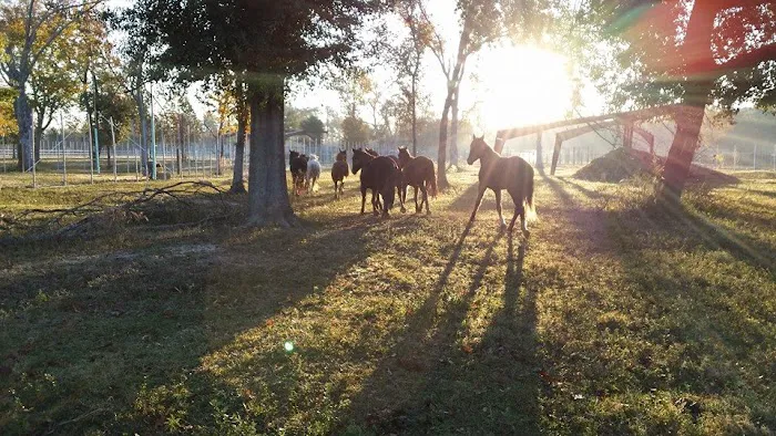 V.E.T.S. Livestock Management Services Organization, Inc, Picture 5