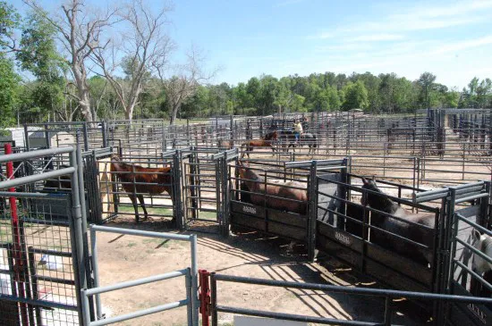V.E.T.S. Livestock Management Services Organization, Inc, Picture 4