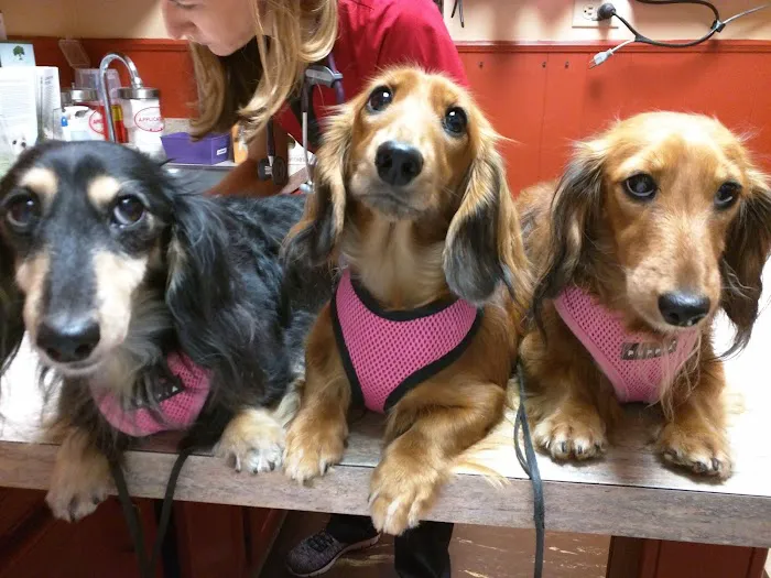 Suburbia North Animal Hospital Picture 10