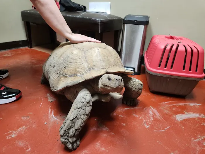 Champions Forest Animal Clinic Picture 2