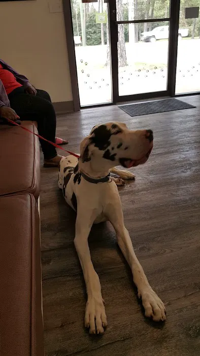Northwest Animal Hospital Picture 2