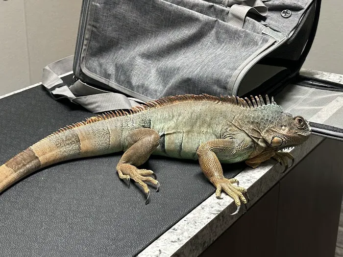 Northwest Animal Hospital Picture 6
