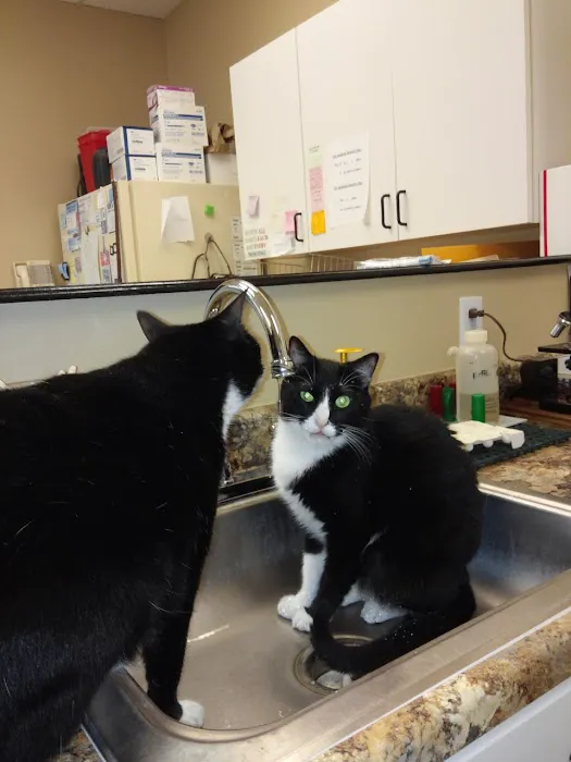Grasshoff Veterinary Clinic Picture 1