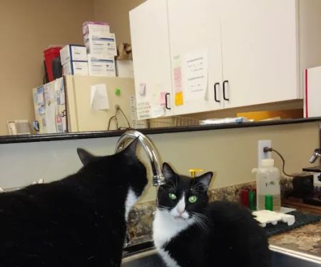 Grasshoff Veterinary Clinic