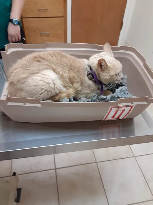 FM 1960 Animal Hospital Picture 2