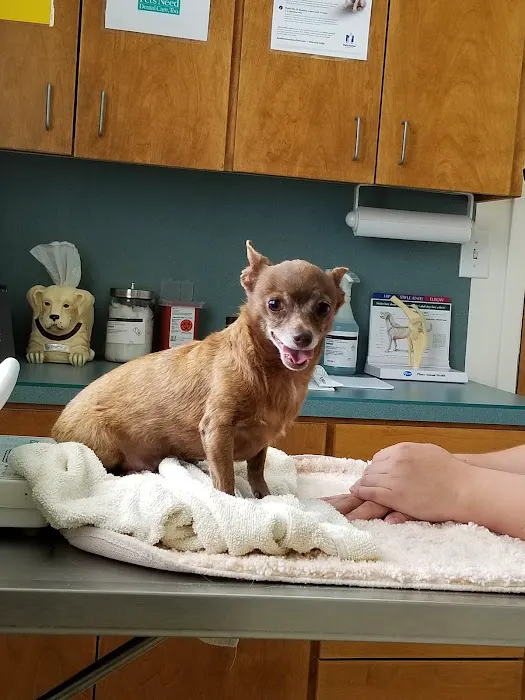 FM 1960 Animal Hospital Picture 4