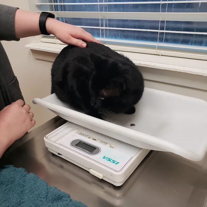 FM 1960 Animal Hospital Picture 3