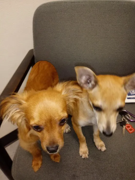 Abbott Animal Clinic Picture 3