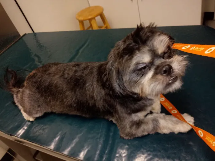 Abbott Animal Clinic Picture 5