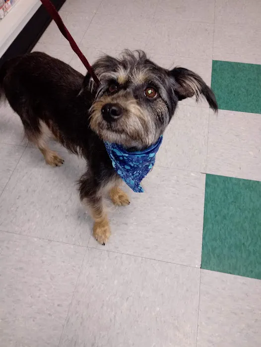Abbott Animal Clinic Picture 6