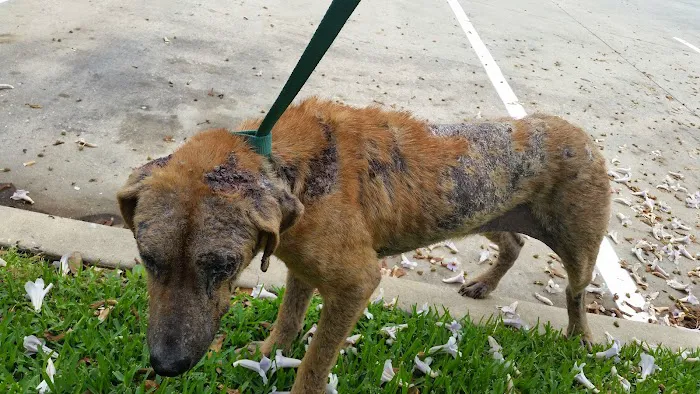 Abbott Animal Clinic Picture 10