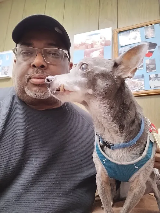 Ponderosa Animal Clinic Picture 8