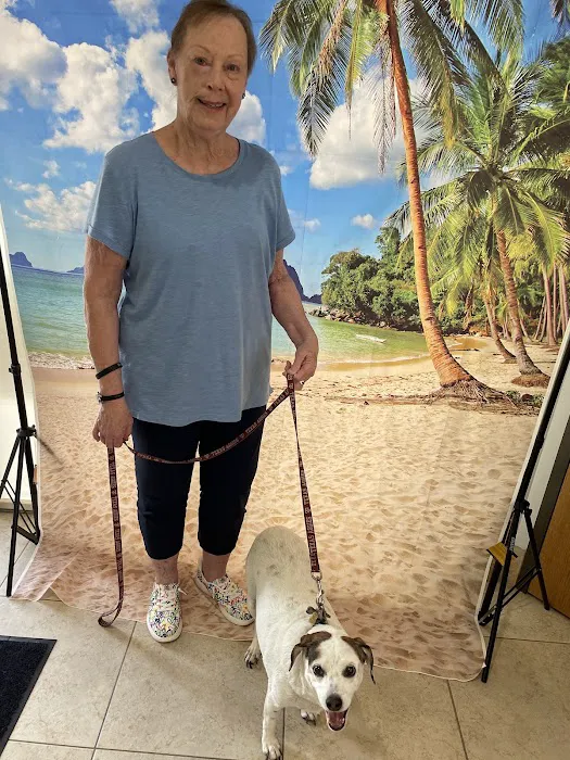 Eye Care for Animals Picture 1