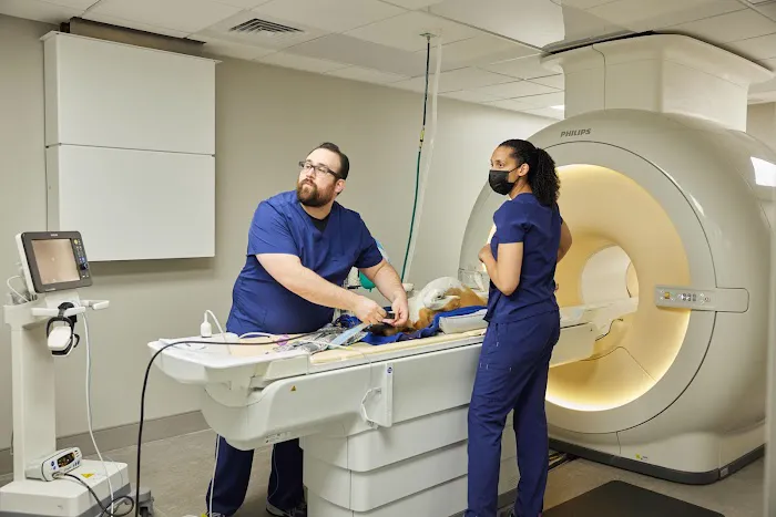 Sage Veterinary Imaging - Spring Picture 1