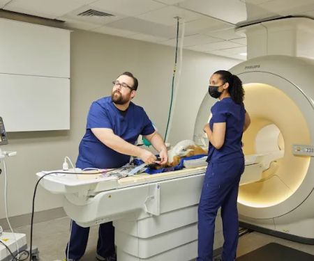 Sage Veterinary Imaging - Spring