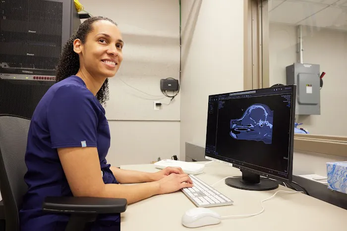 Sage Veterinary Imaging - Spring Picture 5