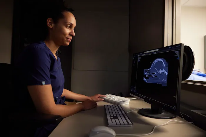 Sage Veterinary Imaging - Spring Picture 7