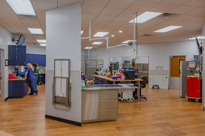 Generation Pet Veterinary Clinic Picture 9