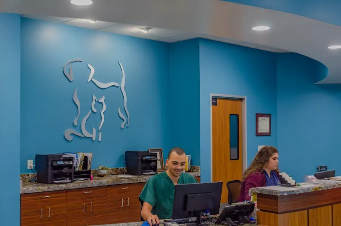 Generation Pet Veterinary Clinic Picture 8