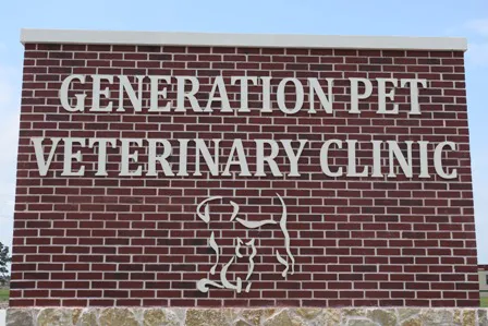 Generation Pet Veterinary Clinic Picture 3