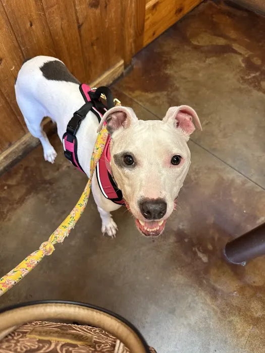 Animal Hospital Of Humble Picture 10
