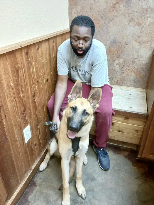 Animal Hospital Of Humble Picture 6
