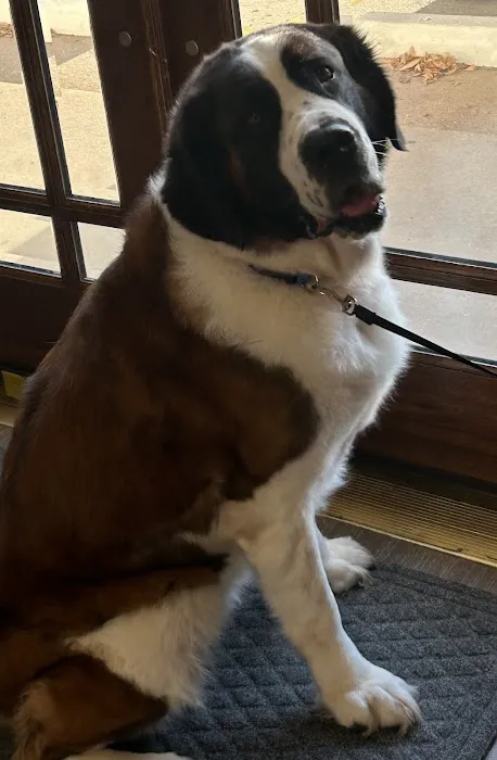 Atascazoo Animal Hospital Picture 4