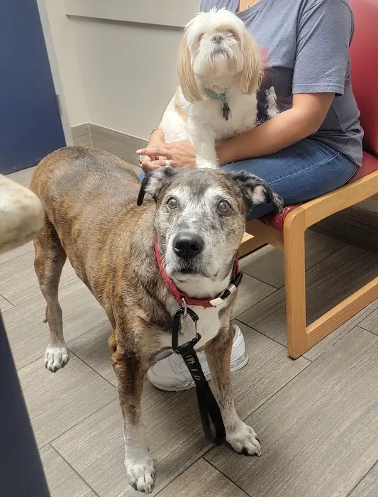 Atascazoo Animal Hospital Picture 3