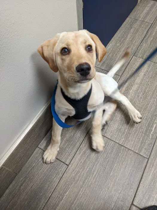 Atascazoo Animal Hospital Picture 5