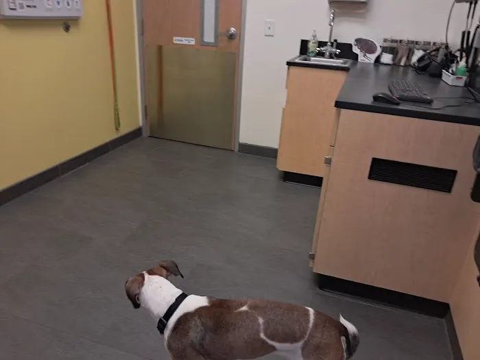Banfield Pet Hospital Picture 6