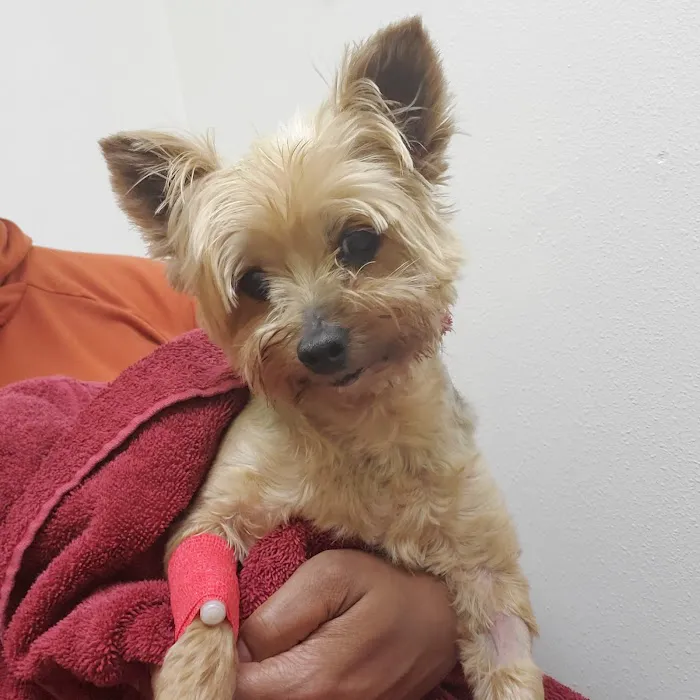 Banfield Pet Hospital Picture 8