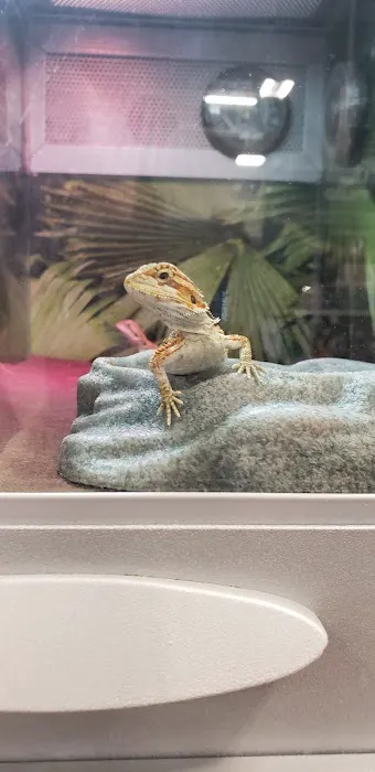 Banfield Pet Hospital Picture 1