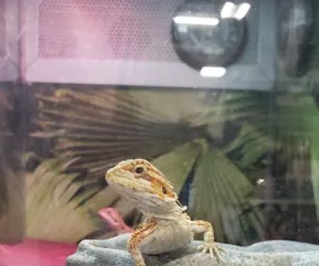 Banfield Pet Hospital