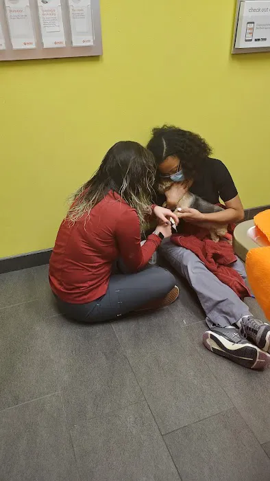 Banfield Pet Hospital Picture 10