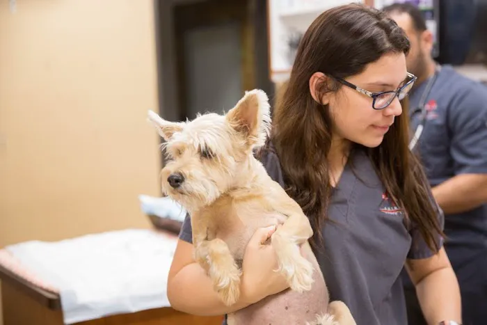 Animal Emergency Clinic NE Picture 7