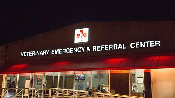 Animal Emergency Clinic NE Picture 4