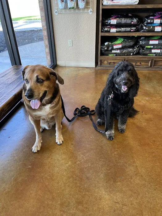 Lake Parkway Animal Hospital Picture 2